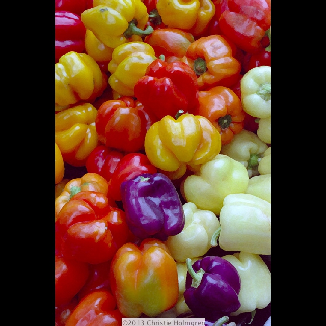 Bell<br/>Peppers 2
