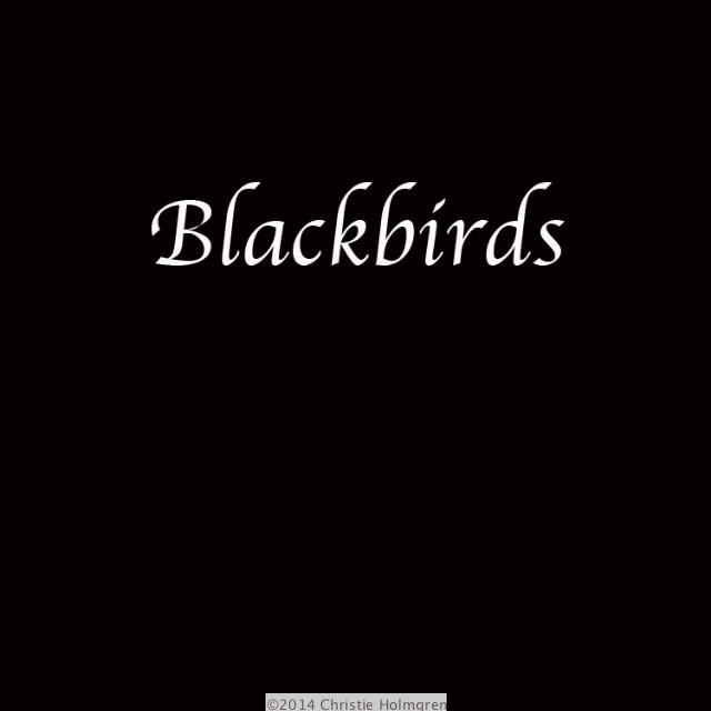 Blackbirds