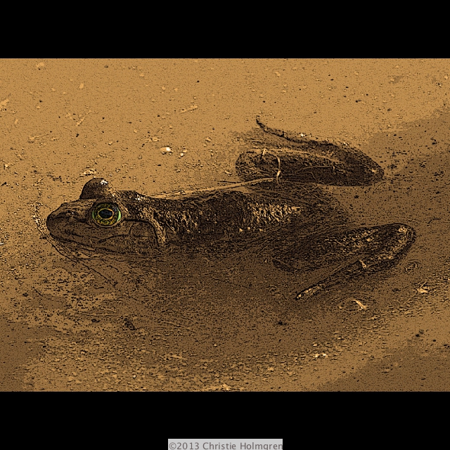 Bullfrog<br/>2 Sepia