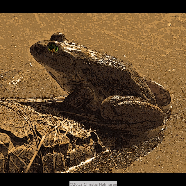 Bullfrog<br/>3 Sepia