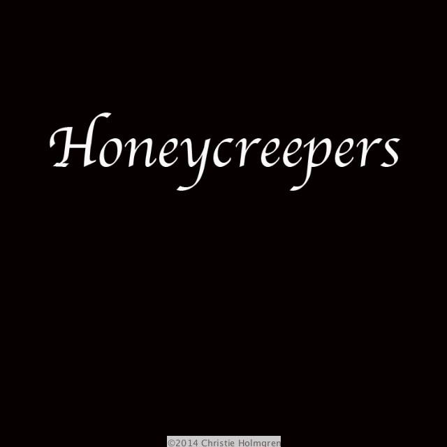 Honeycreepers
