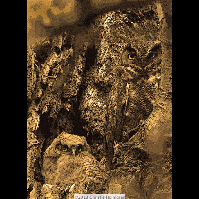 Great<br/>Horned<br/>Owls 2 Sepia