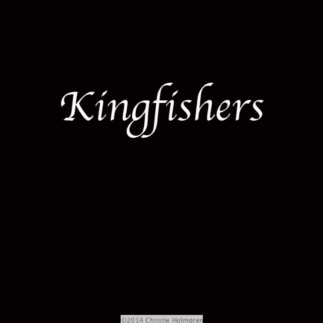 king_fishers