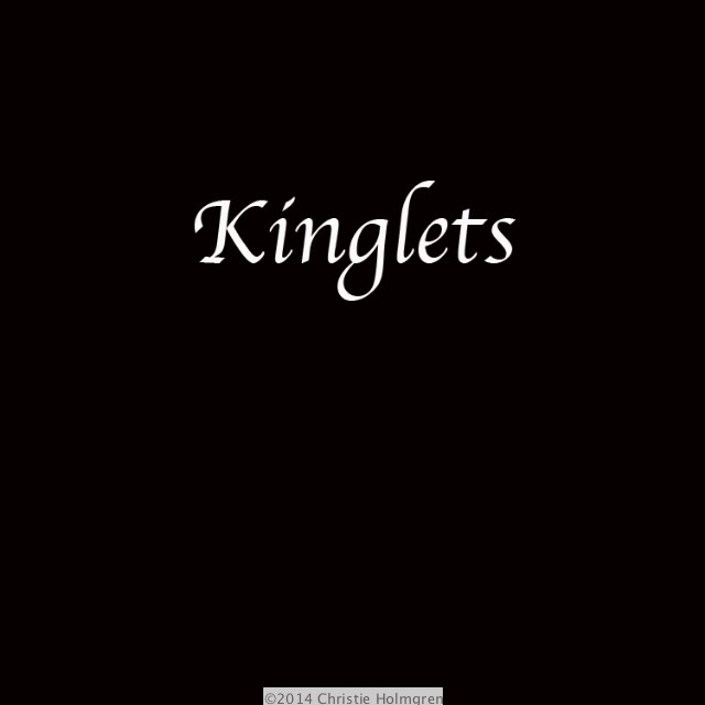 Kinglets