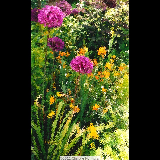 Monet's<br/>Giant<br/>Allium