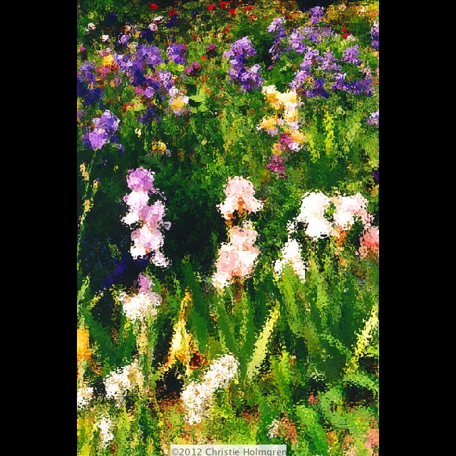 Monet's<br/>Iris