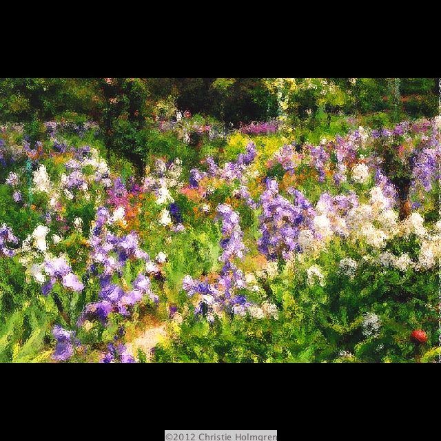Monet's<br/>Iris 2