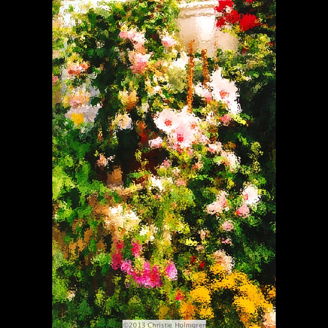 Paris<br/>Garden