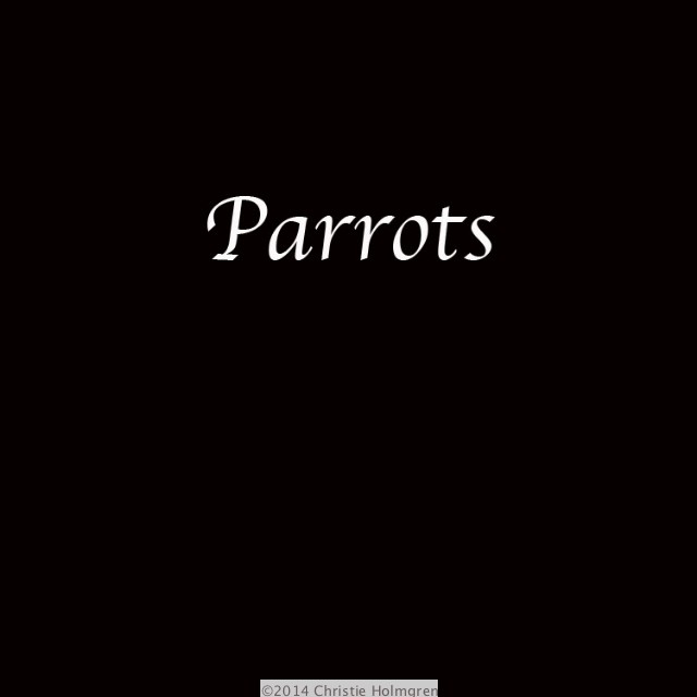 Parrots