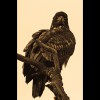 Bald<br/>Eagle 2<br/>Sepia