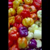 Bell<br/>Peppers 2