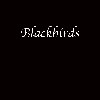 Blackbirds