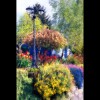 Garden<br/>Wall
