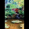 Japanese<br/>Garden 1
