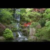 Japanese<br/>Garden 2
