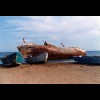 Ship<br/>Wreck
