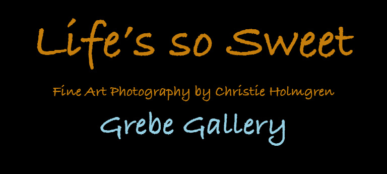 Grebe Logo