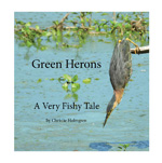 Green
                          Herons Thumbnail
