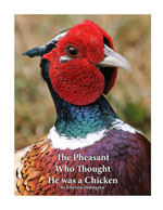 Pheasant
                            Thumbnail
