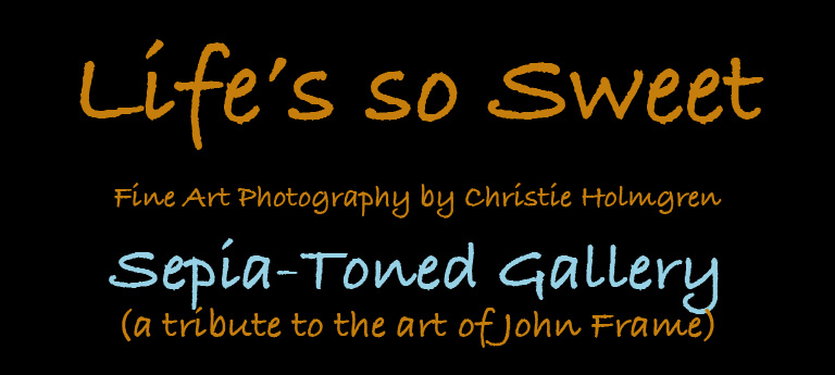 Sepia Logo